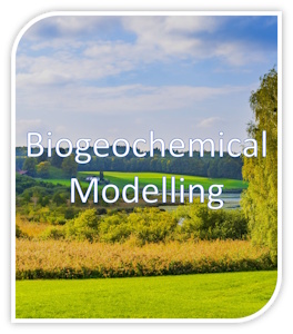 Logo picture of reserarch group "Biogeochemical Modelling"