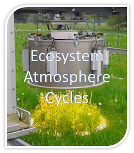 Logo picture of reserarch group "Ecosystem-Atmosphere Cycles"