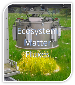 Logo picture of research group 'Ecosystem Matter Fluxes'