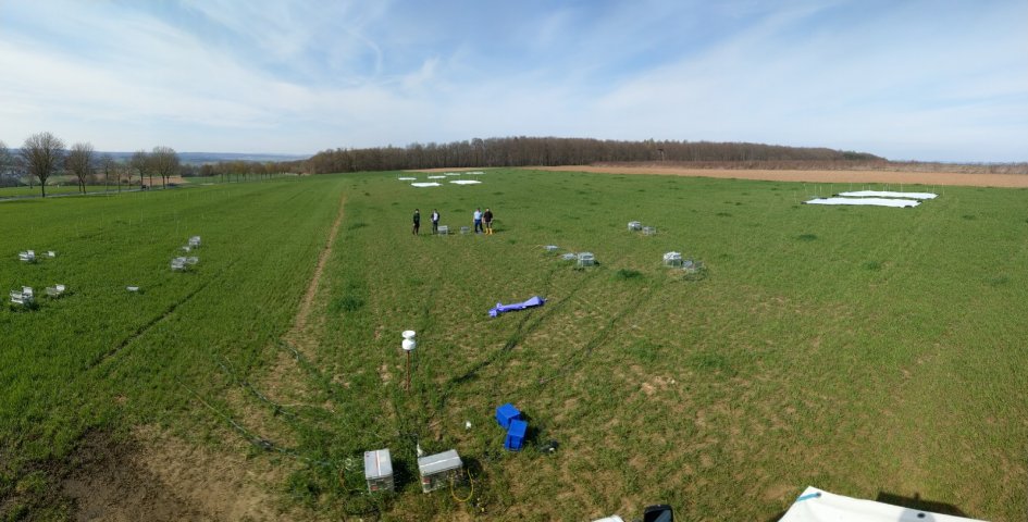 Setup of automated measuring system at IBAN field site near Niederselters