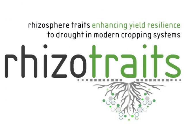 logo of project Rhizotraits