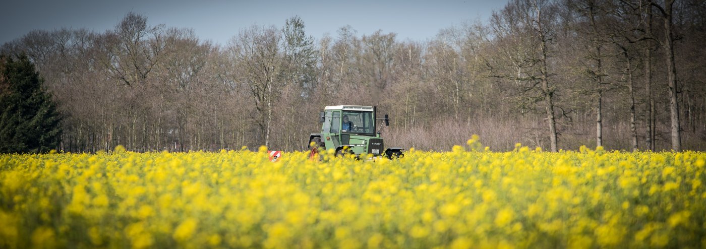 Representative picture for smart agriculture
